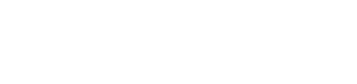 ovixwellenssspa.com